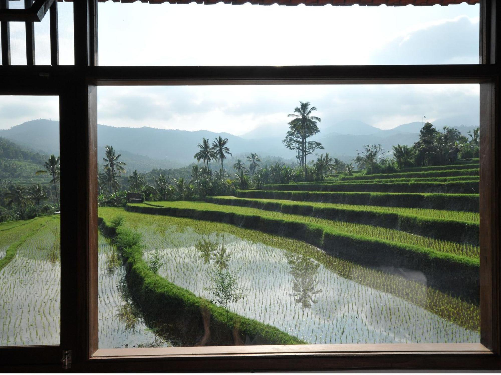 Lesong Hotel And Restaurant Munduk Quarto foto