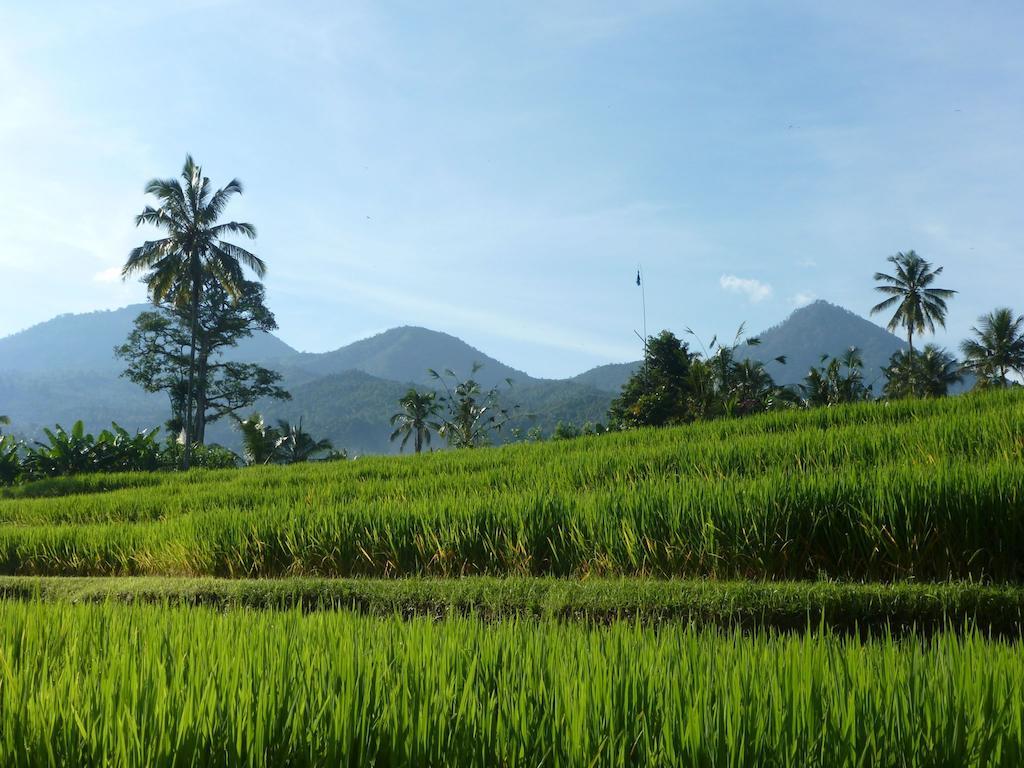 Lesong Hotel And Restaurant Munduk Exterior foto